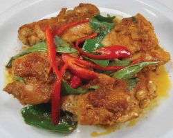 Dried spicy curry chicken 