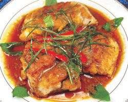 Panang curry over crispy fish 